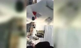 搞笑爆料东北人视频下载,搞笑爆料视频下载狂欢！