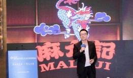 孟贺最新爆料视频播放,事件真相与幕后黑幕大起底