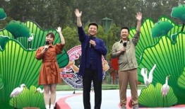 崇阳最新爆料新闻视频下载,视频揭秘惊人内幕