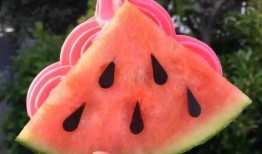 藏区网红吃瓜,揭秘网红圈背后的故事